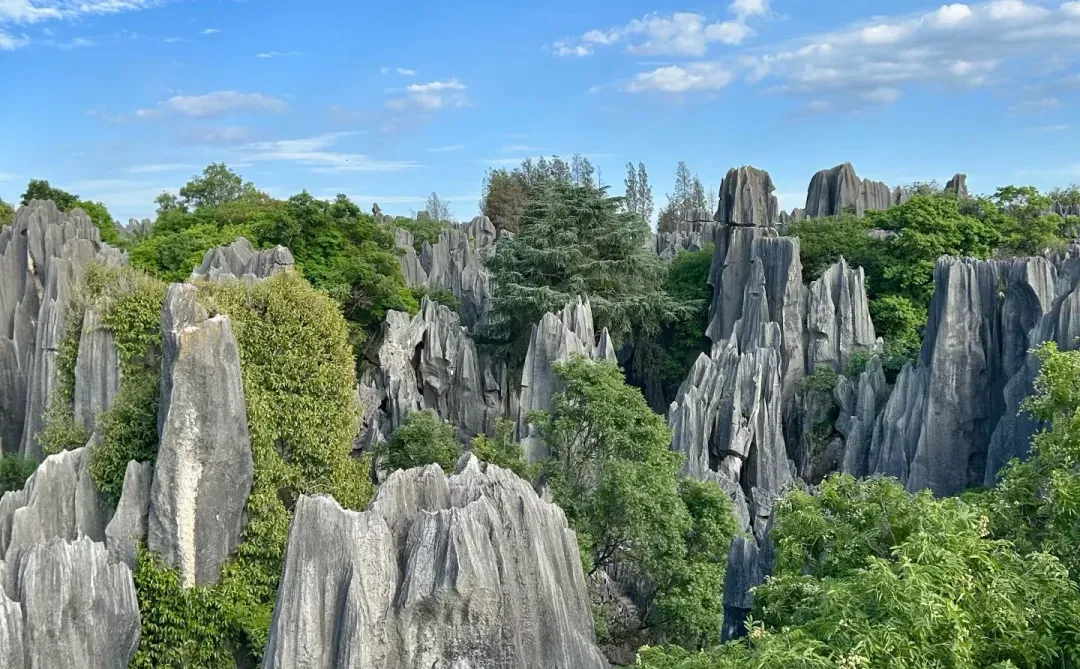 ✈️临沂双飞云南6日纯玩团