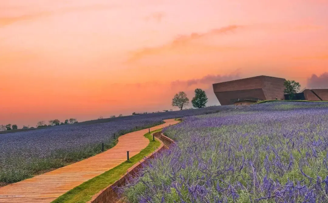 🌋云南轻奢纯玩游｜解锁石屏·建水·弥勒