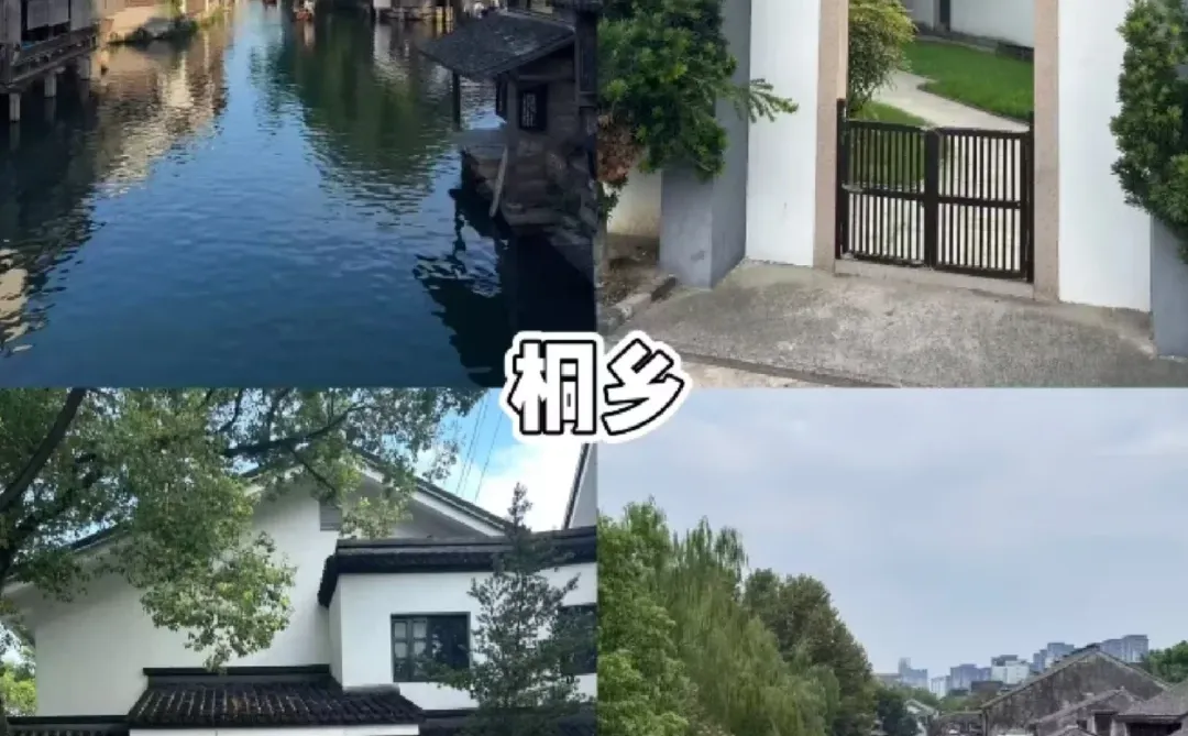 ✨长三角短途游清单｜说走就走的惬意之旅