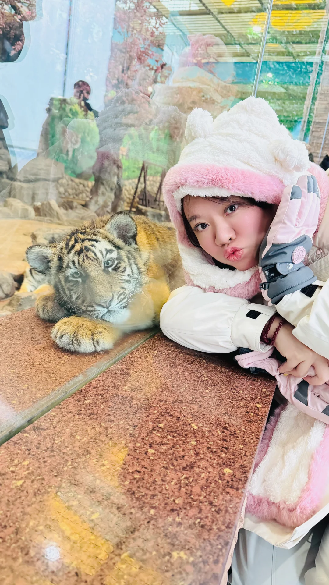 横道河子南方小土豆必冲