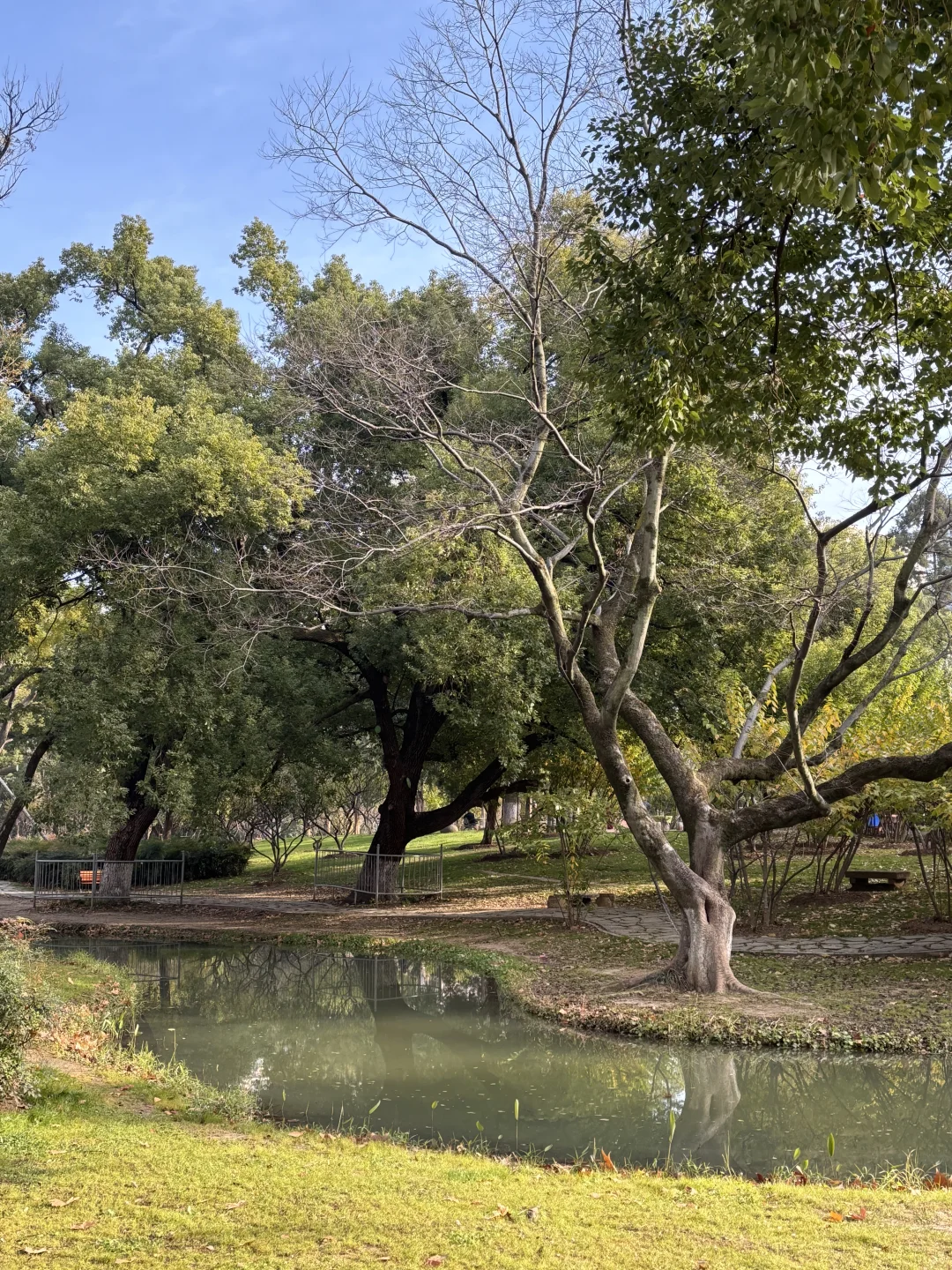 武汉大学生没课去哪玩