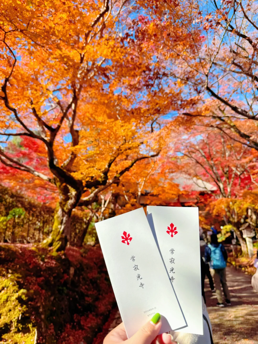 用实况打开红叶季🍁京都真的没有对手🍂