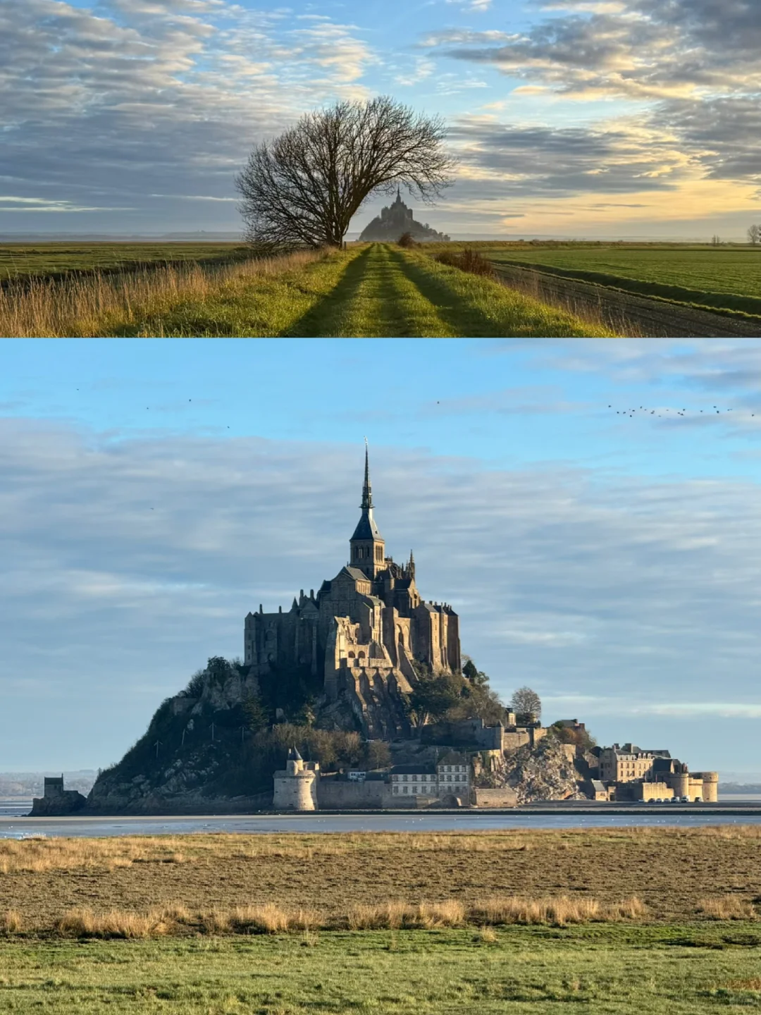 总有一天你会一个人来到这里