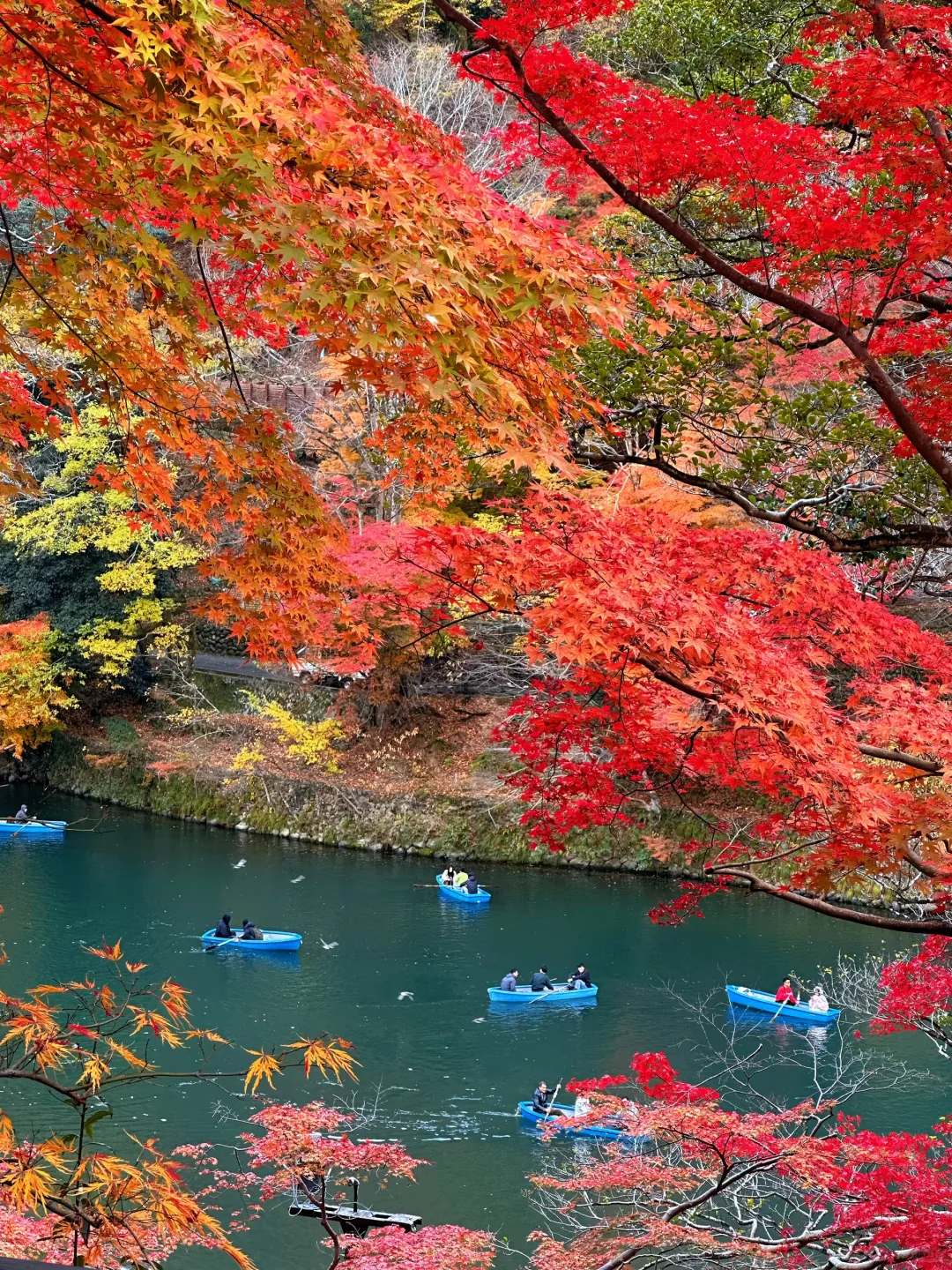 用实况打开红叶季🍁京都真的没有对手🍂