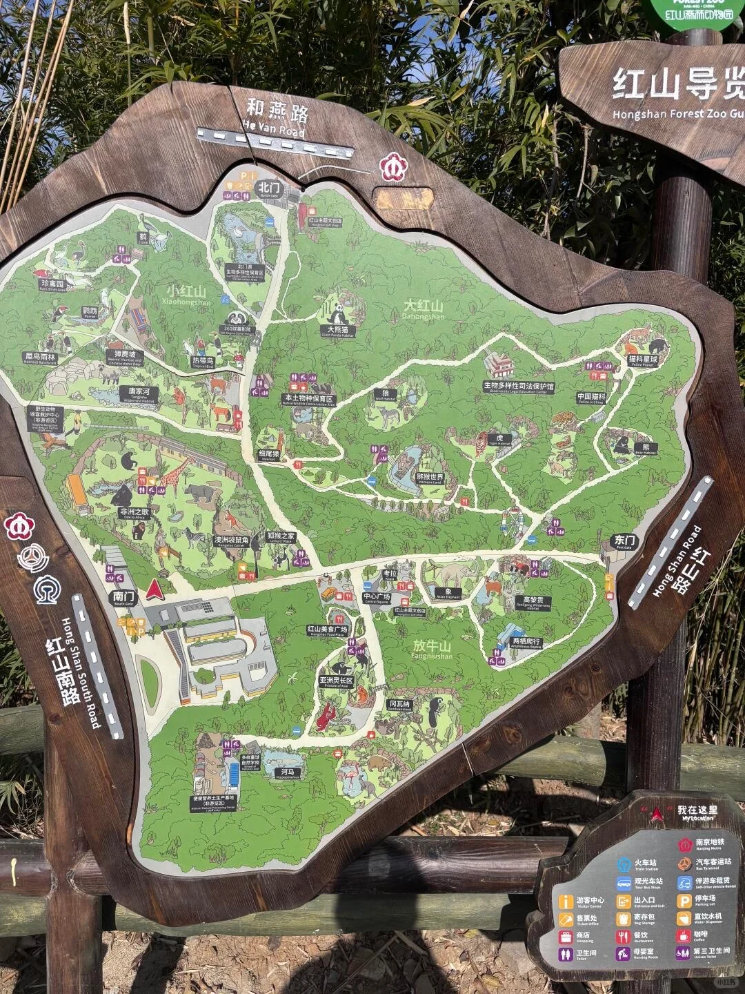 ❄️江浙沪冬季遛娃清单！四大目的地直接抄作