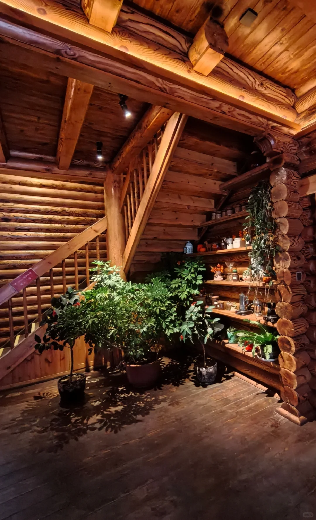 济南大学生必冲！人均几十元玩转九如山冬日