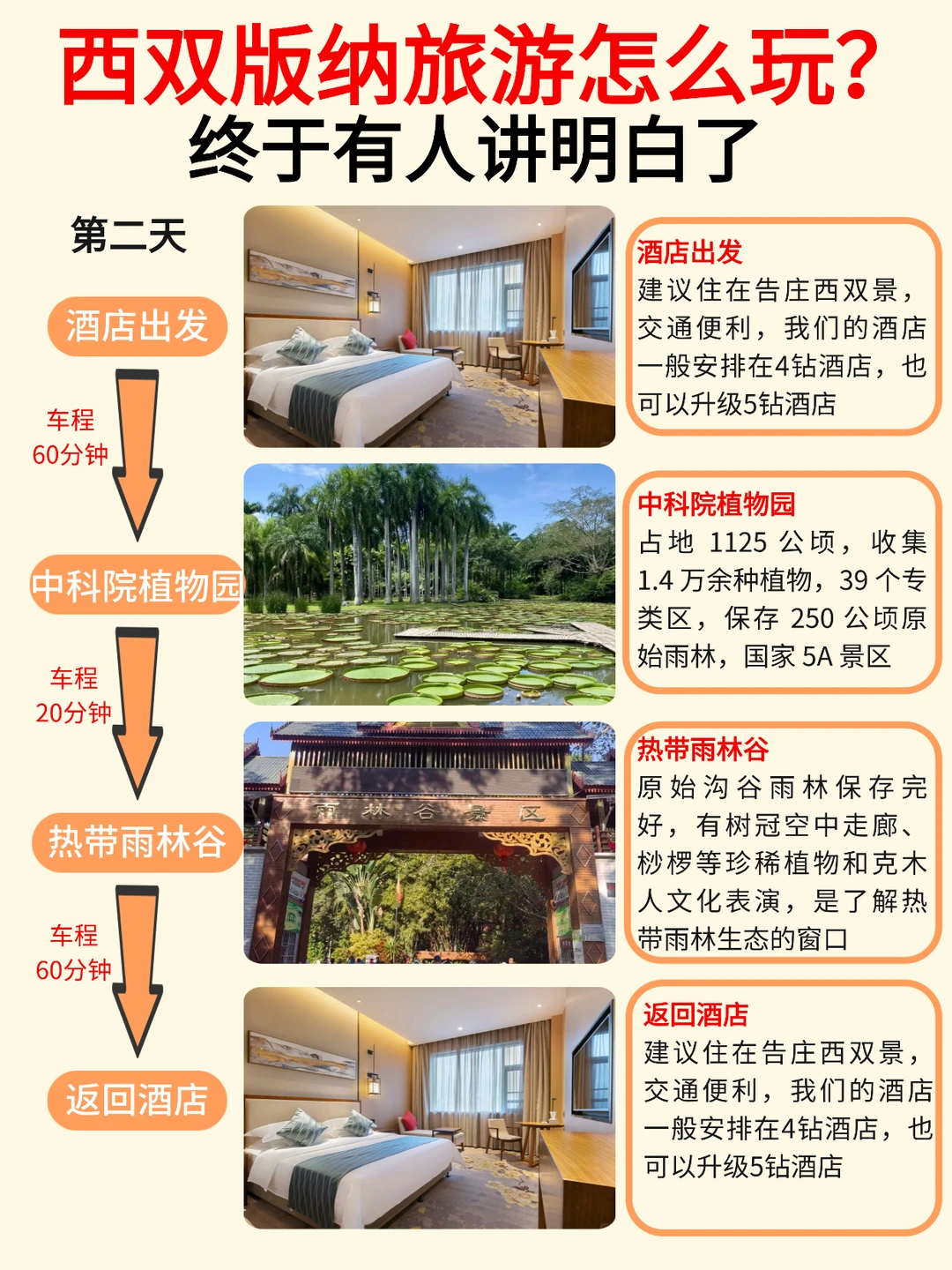 绝了❗终于有人把西双版纳旅游说清楚了🔥