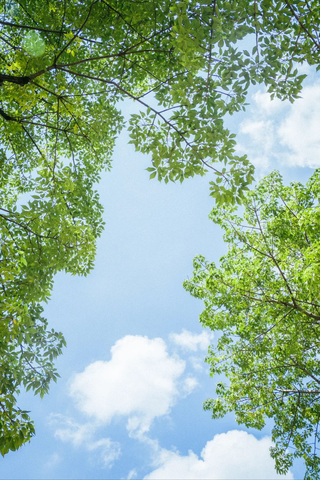谁还没发现这座藏在市中心的民国黄楼啊