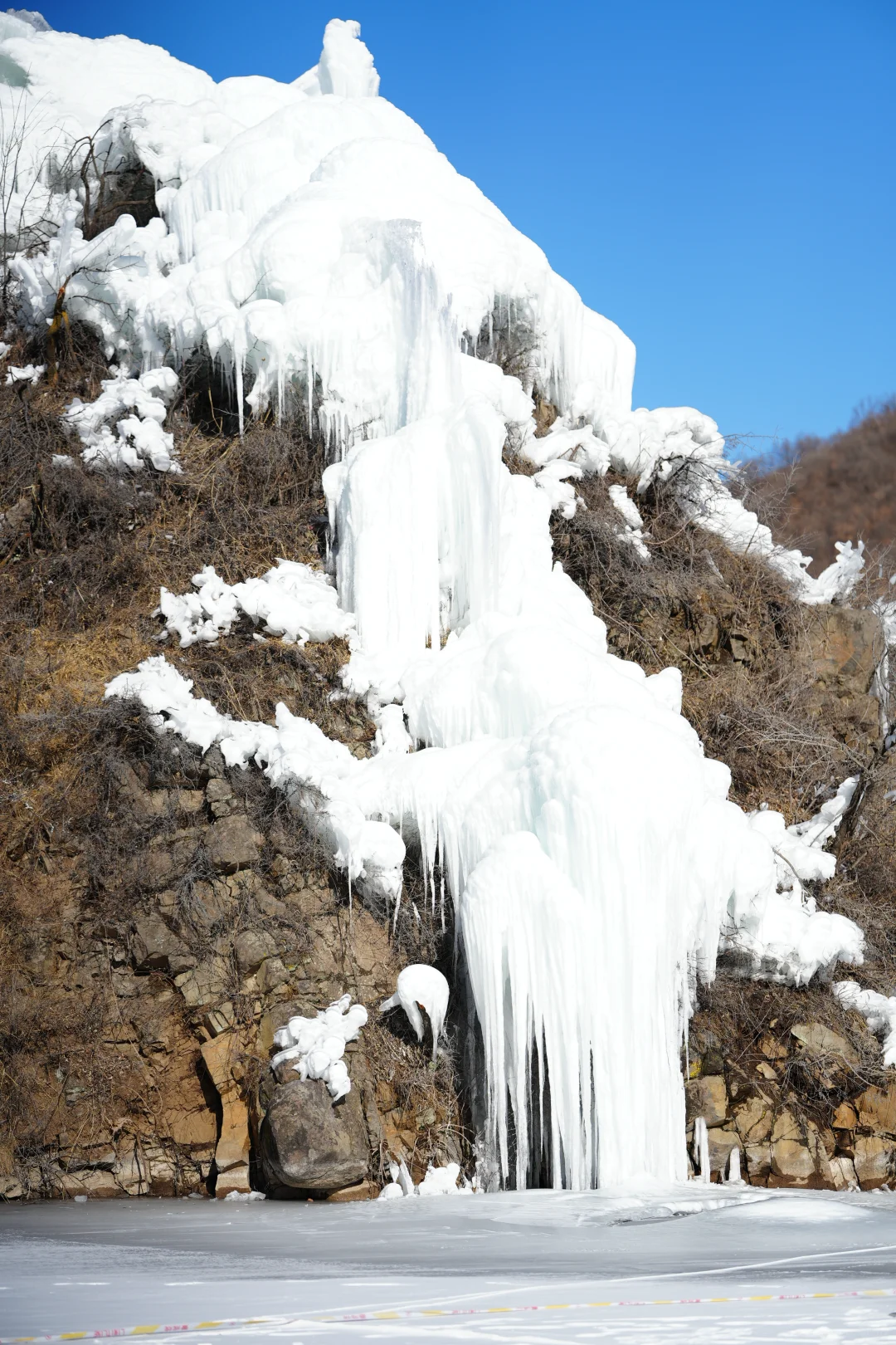 北京遛狗党!玉渡山玩雪太快乐了