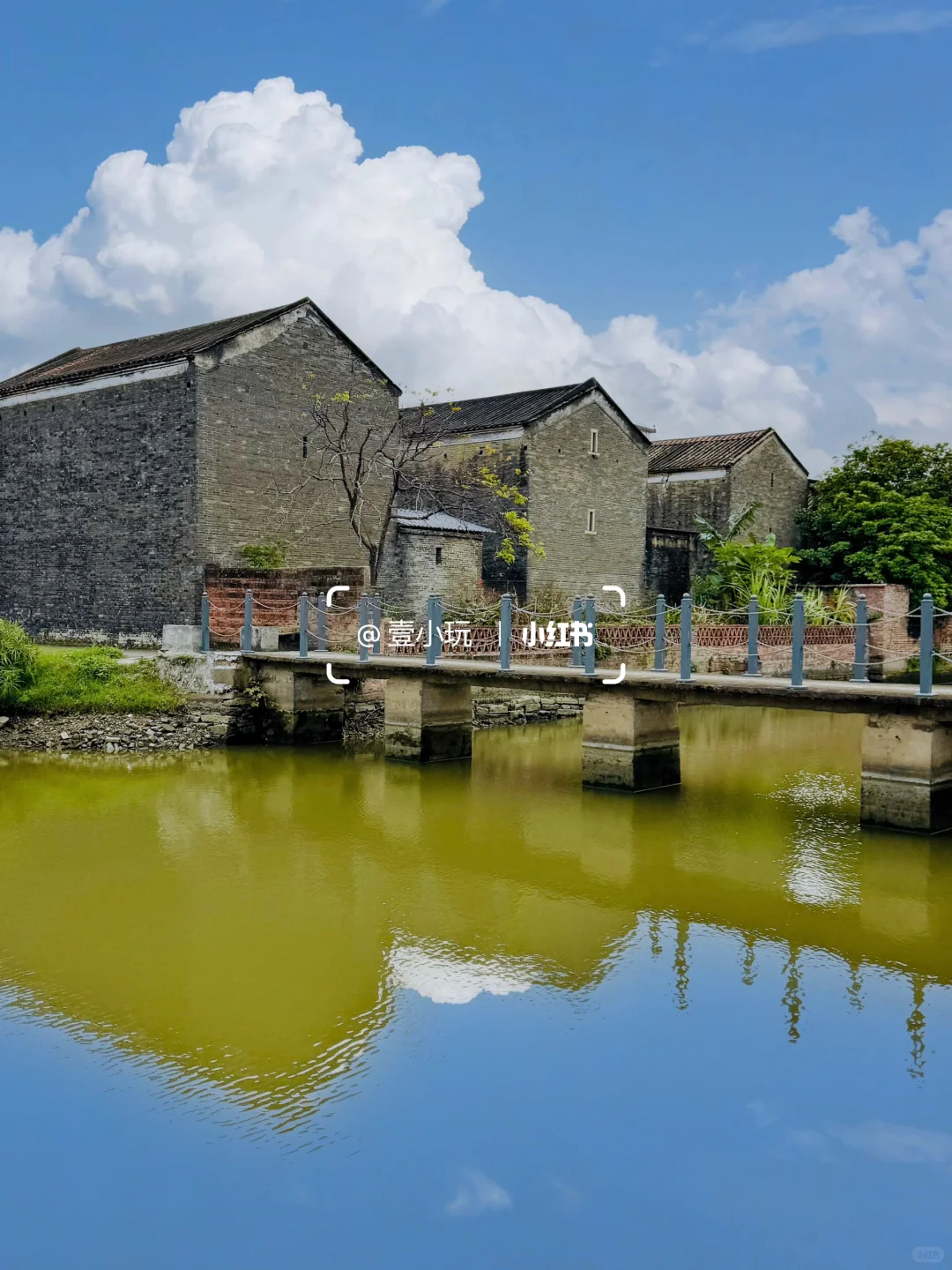 迄今为止❗️我最爱的佛山百年水上古村出现了