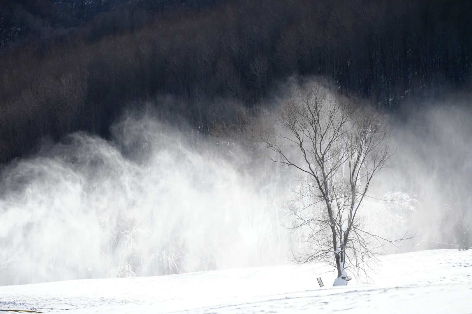 北京遛狗党!玉渡山玩雪太快乐了