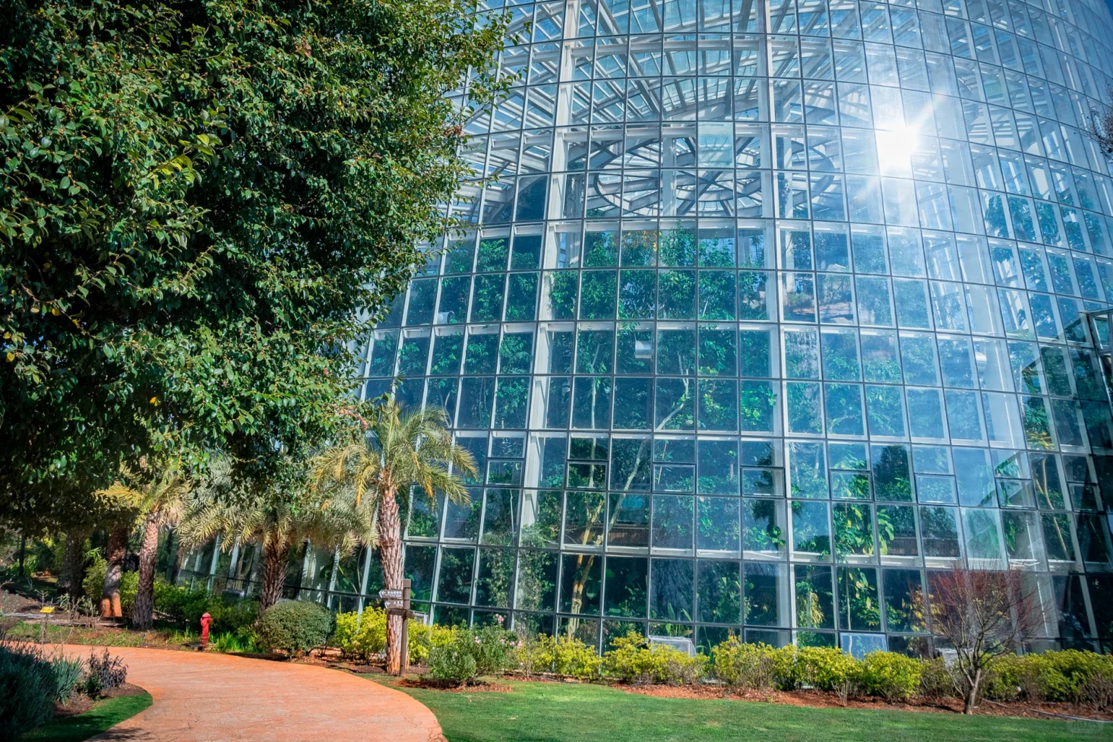 植物爱好者的天堂,昆明必玩景点扶荔宫攻略