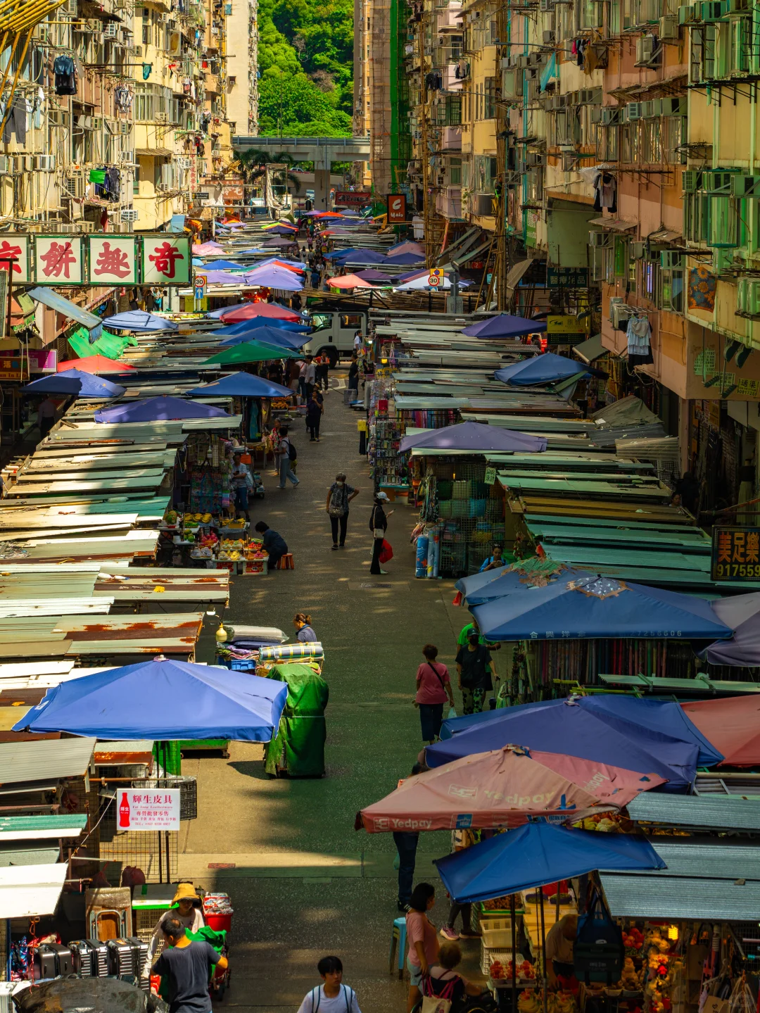 为了这1️⃣5️⃣张照片😂我又飞了趟香港