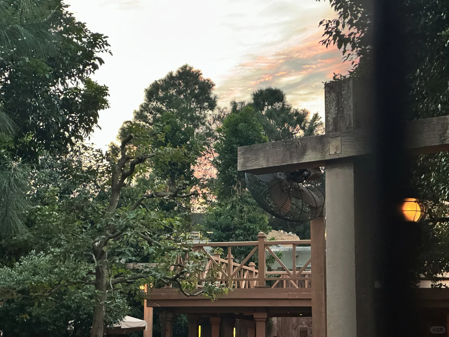 港迪这样玩半天就够啦|有些也没必要去