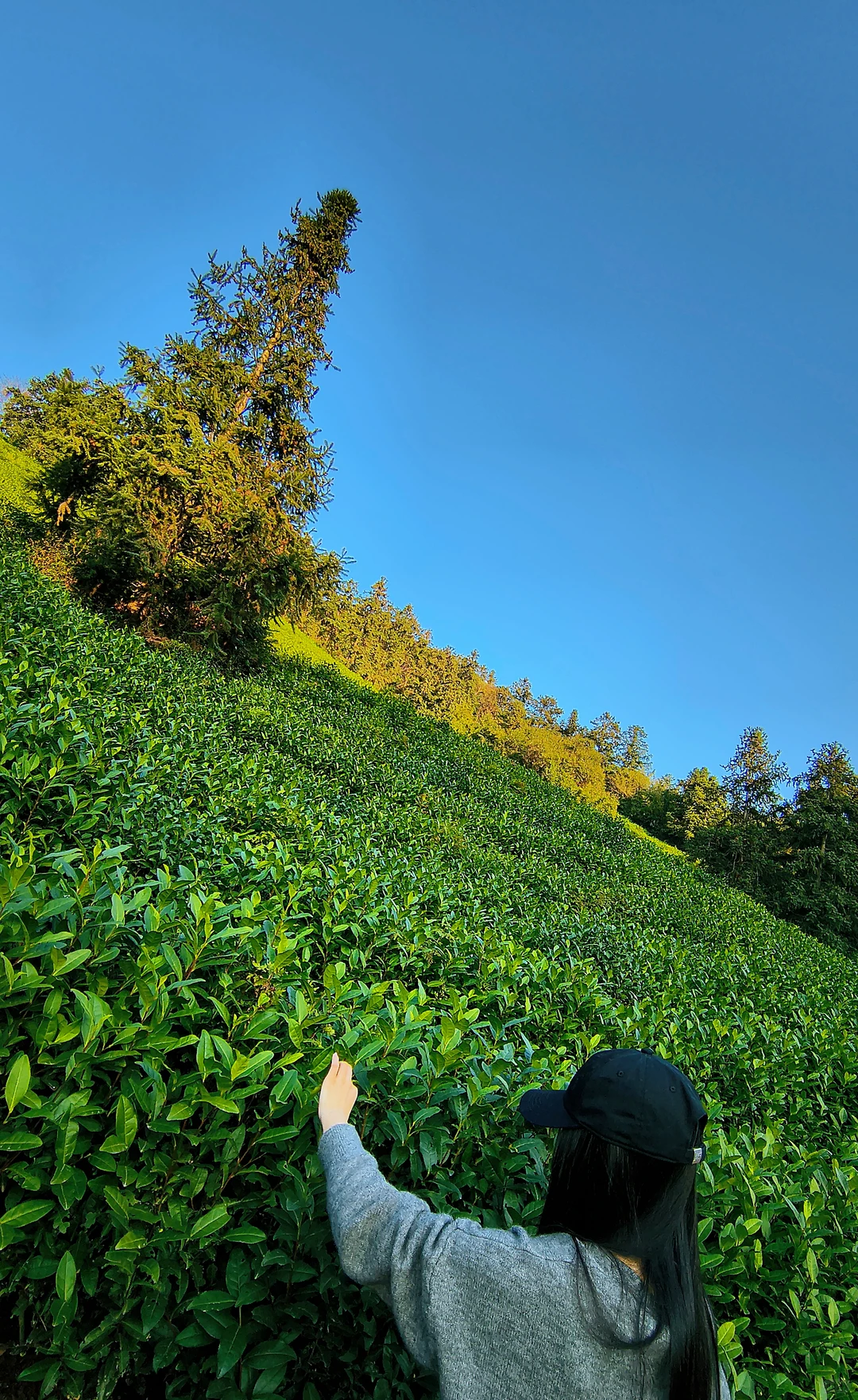湖州暖冬必打卡的梦幻城堡🌲️❄️