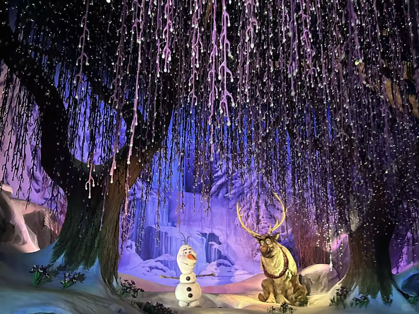 去过上迪 来港迪 必玩必看10项1剧透慎入