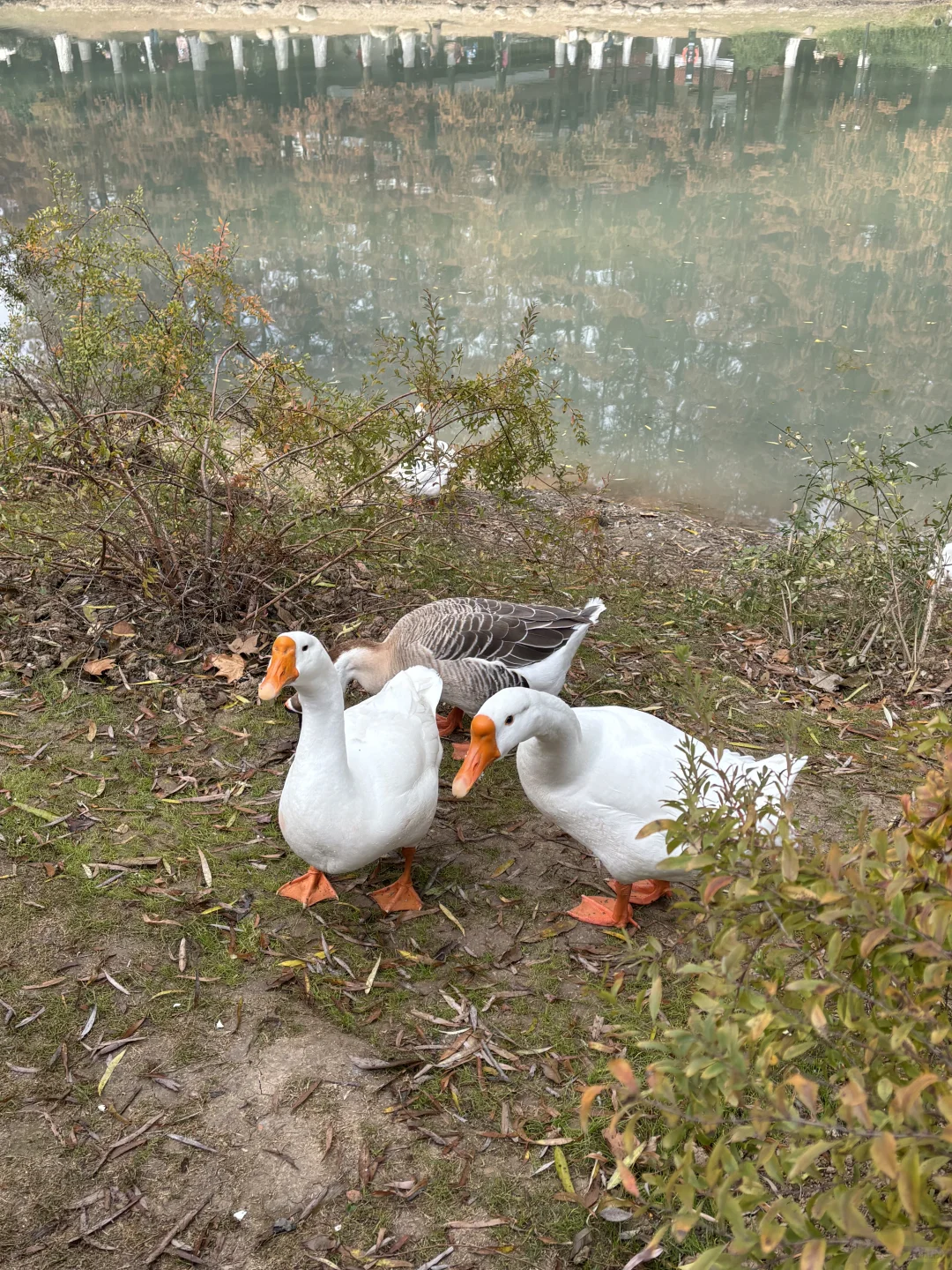 武汉大学生没课去哪玩