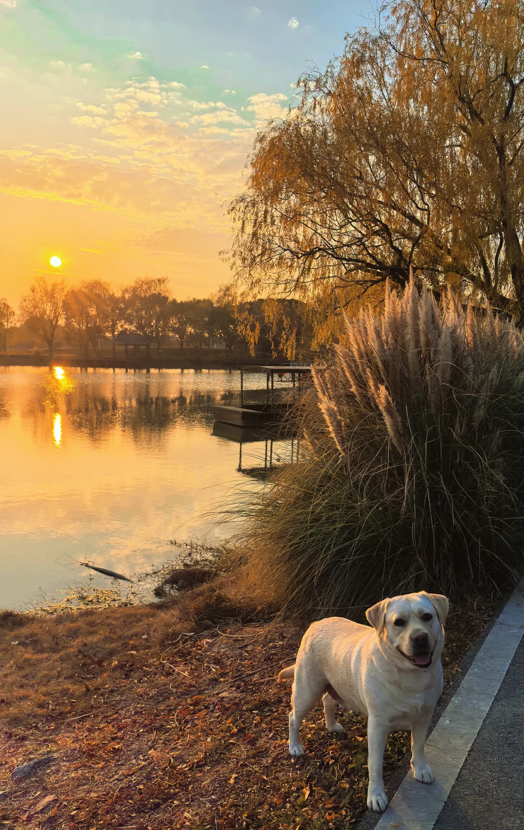 杭州开车1.5h的景区|太适合遛娃遛狗啦
