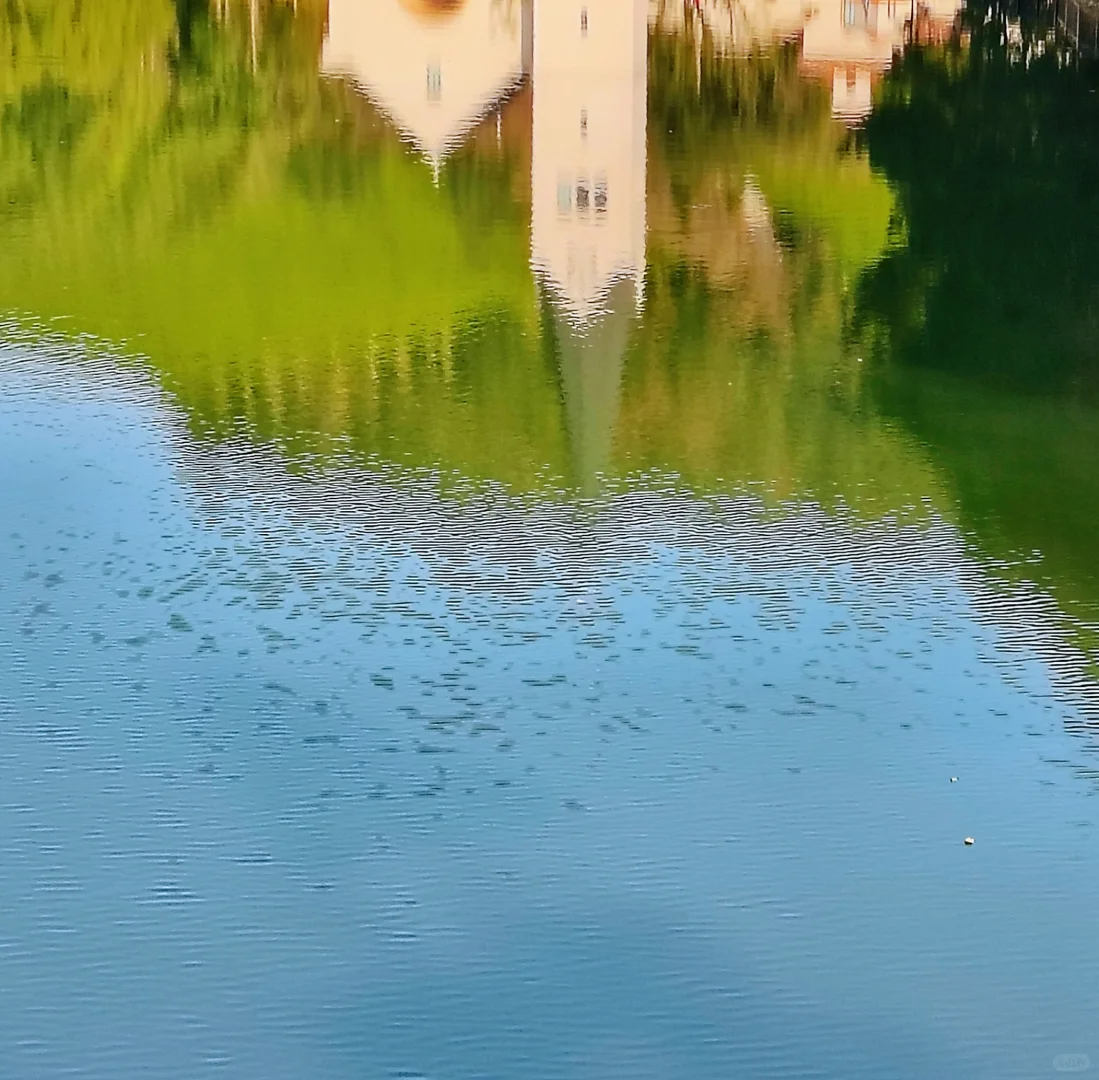 湖州暖冬必打卡的梦幻城堡🌲️❄️