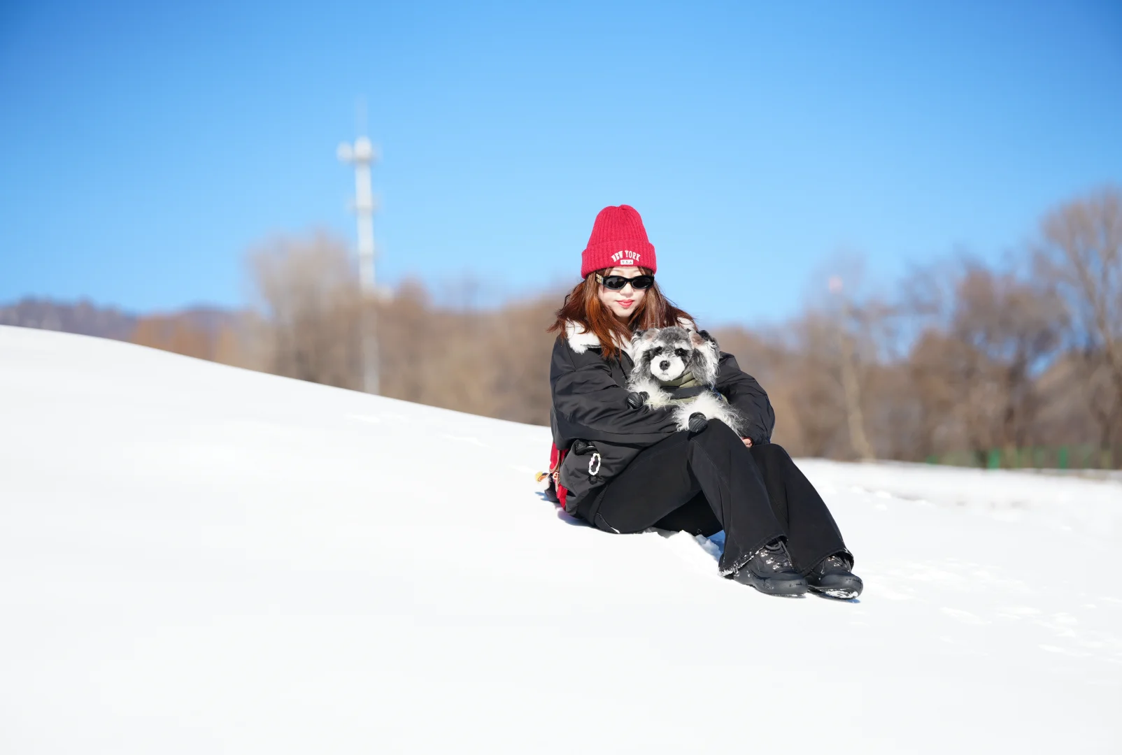 北京遛狗党!玉渡山玩雪太快乐了