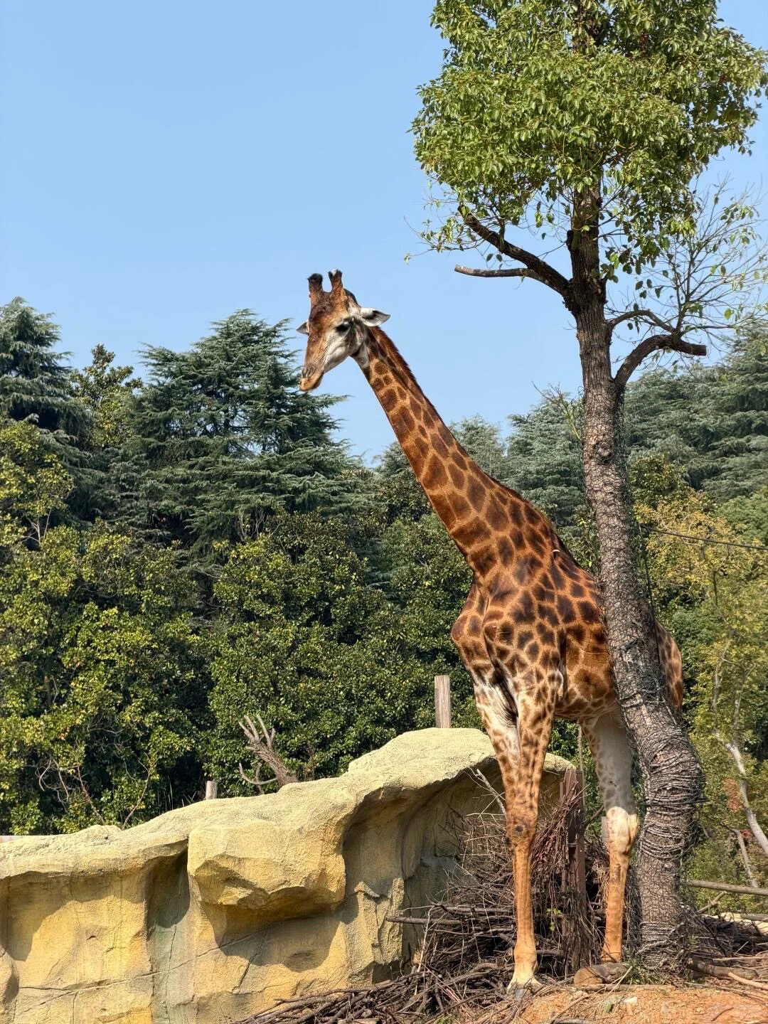 ❄️江浙沪冬季遛娃清单！四大目的地直接抄作