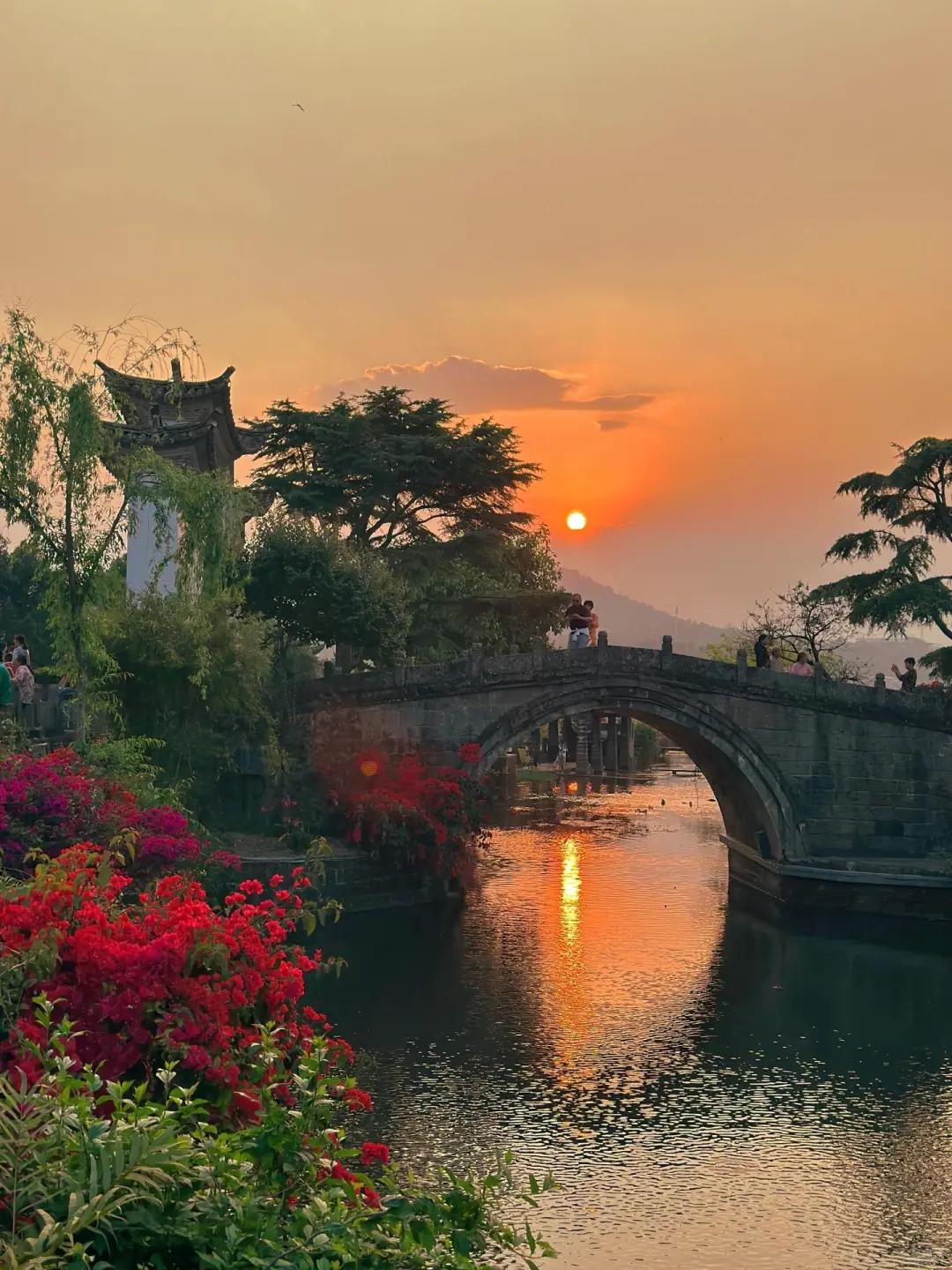 不得不说❗云南纯玩旅行🔥真正的品质游✅