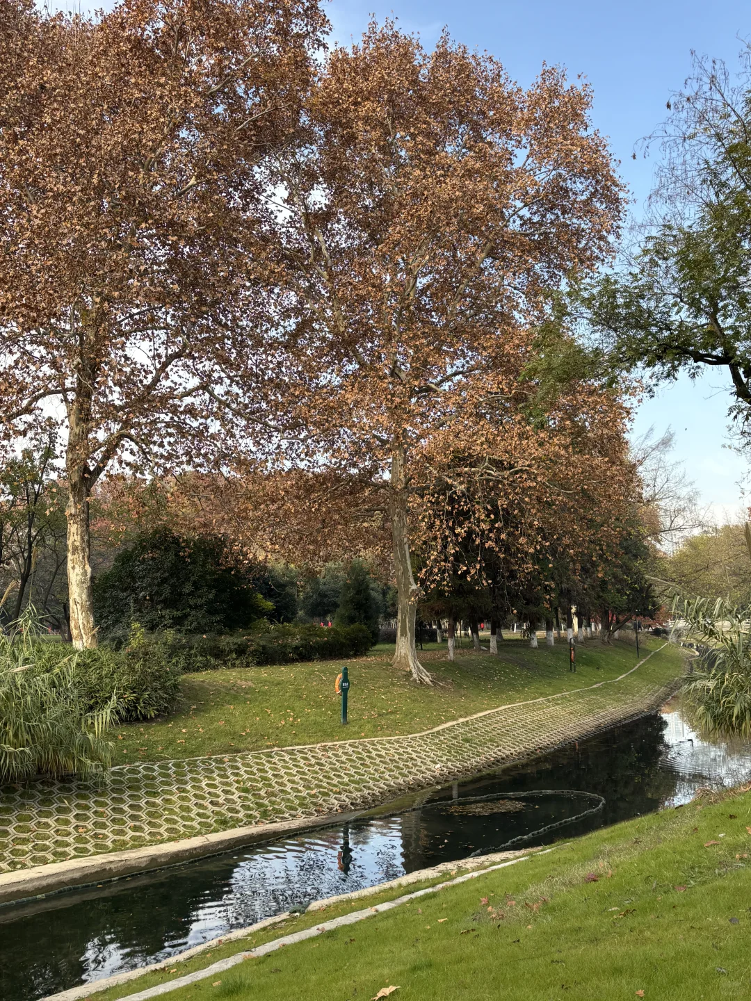 武汉大学生没课去哪玩