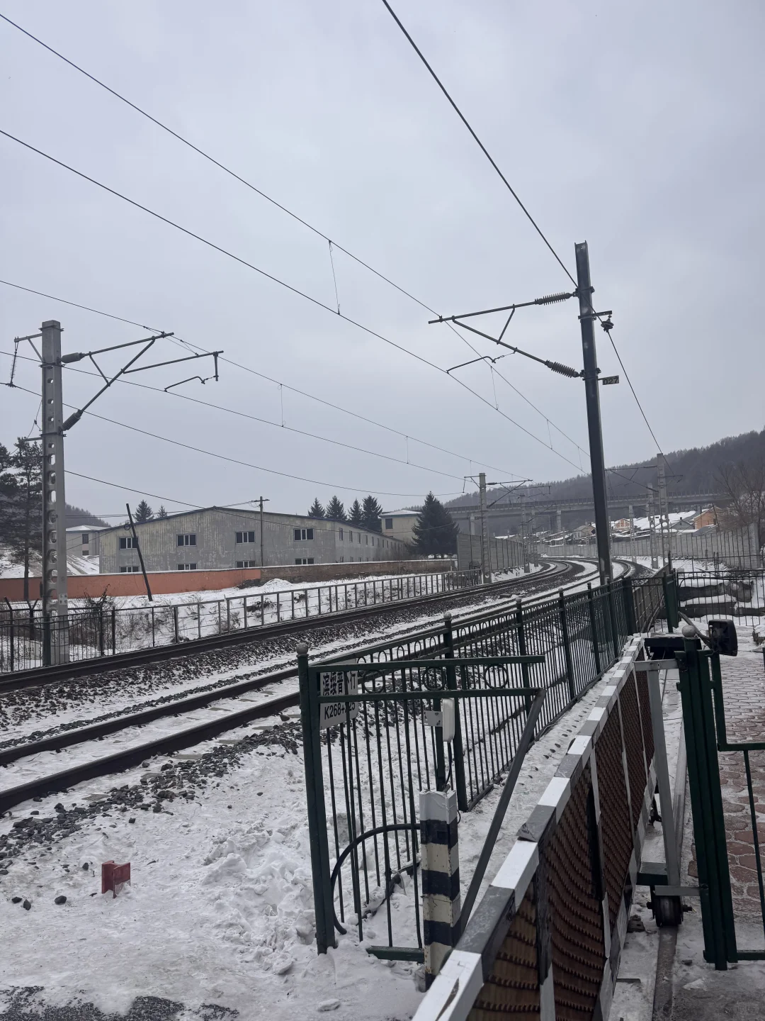 横道河子南方小土豆必冲