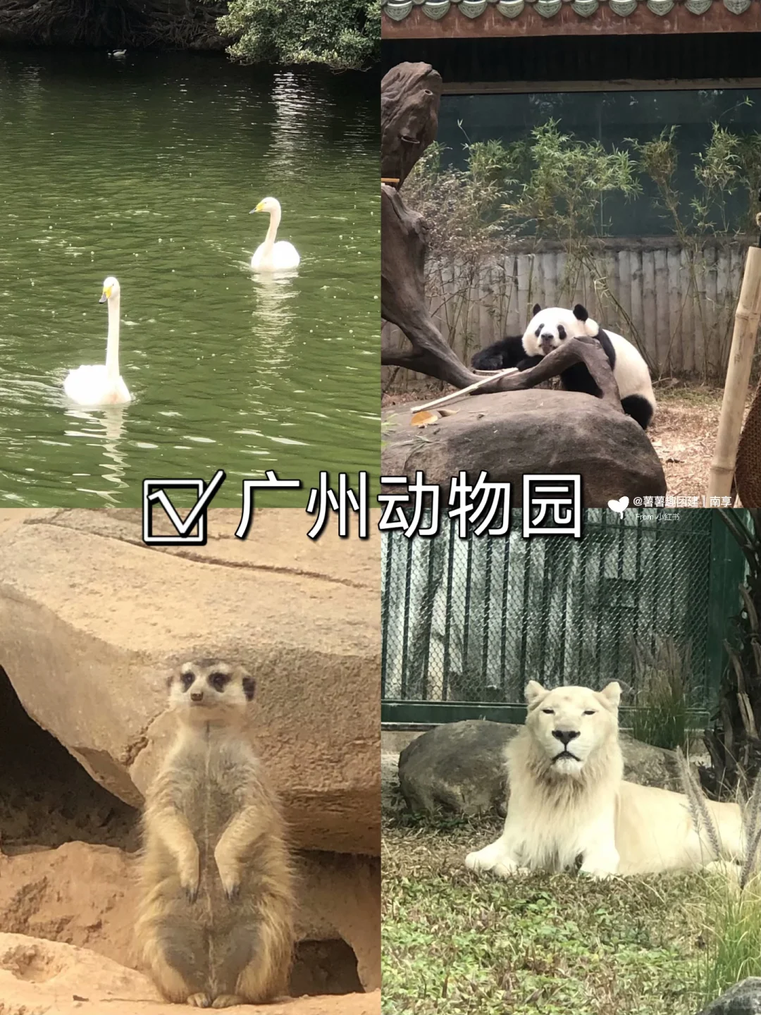 元旦出游看过来‼广州必去9大景点攻略🔥