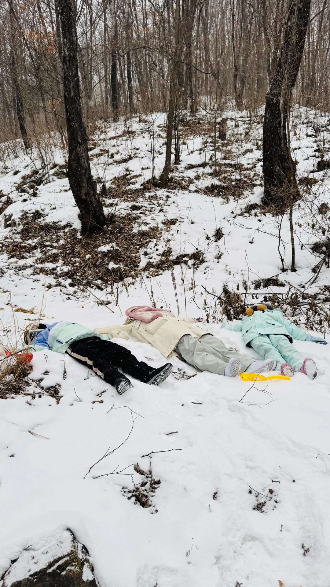 横道河子南方小土豆必冲