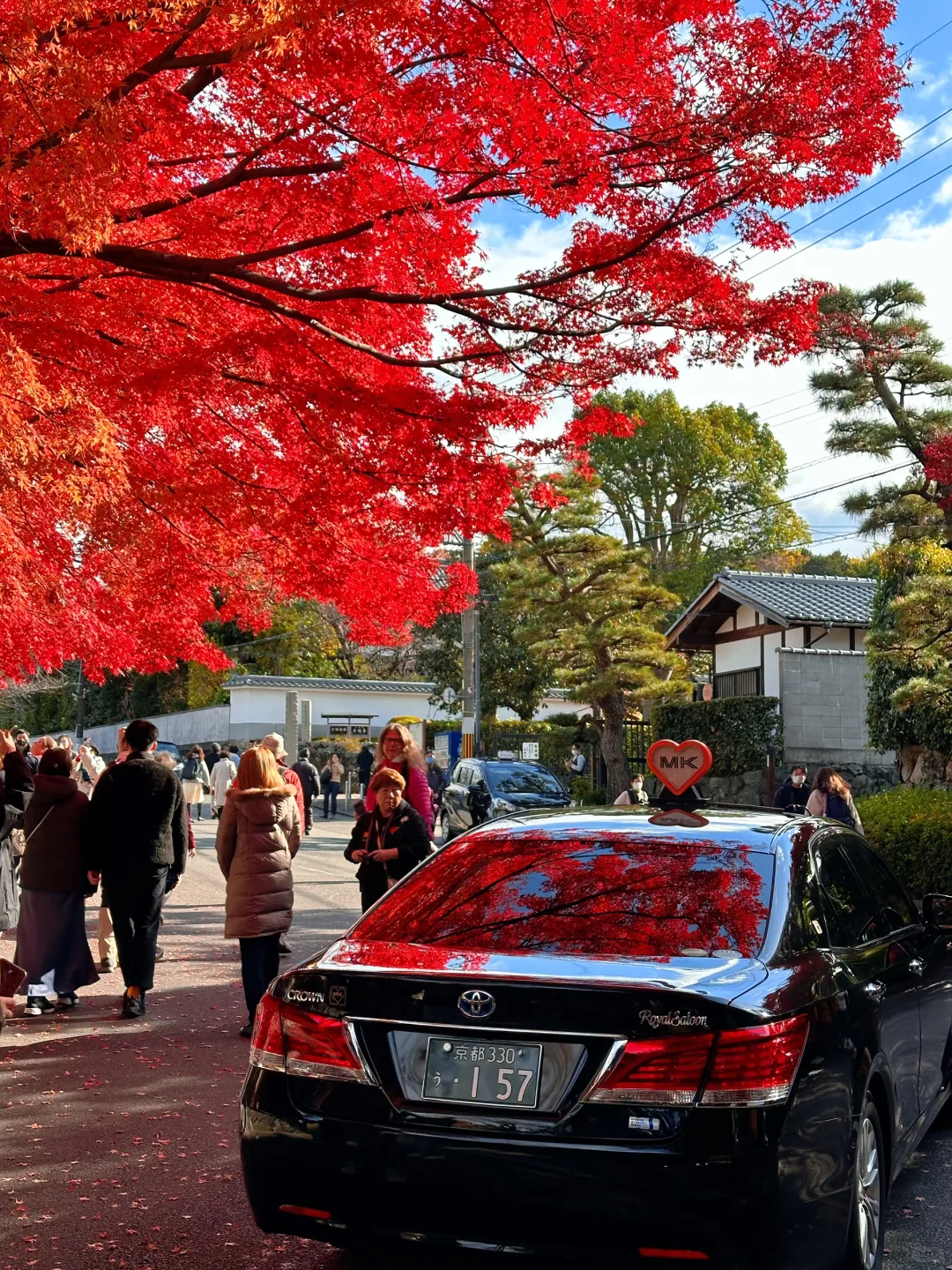 用实况打开红叶季🍁京都真的没有对手🍂