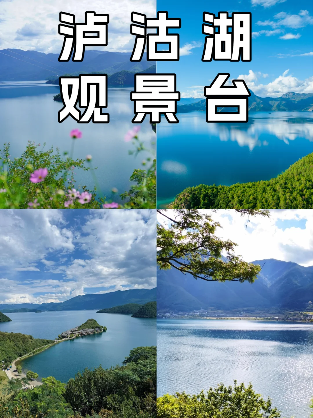 泸沽湖的冬天✨只需要168🦅晨雾海鸥拿下