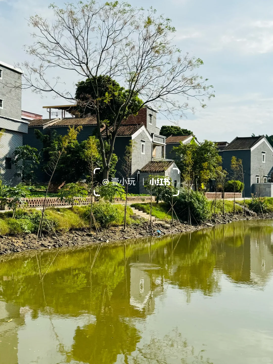 迄今为止❗️我最爱的佛山百年水上古村出现了
