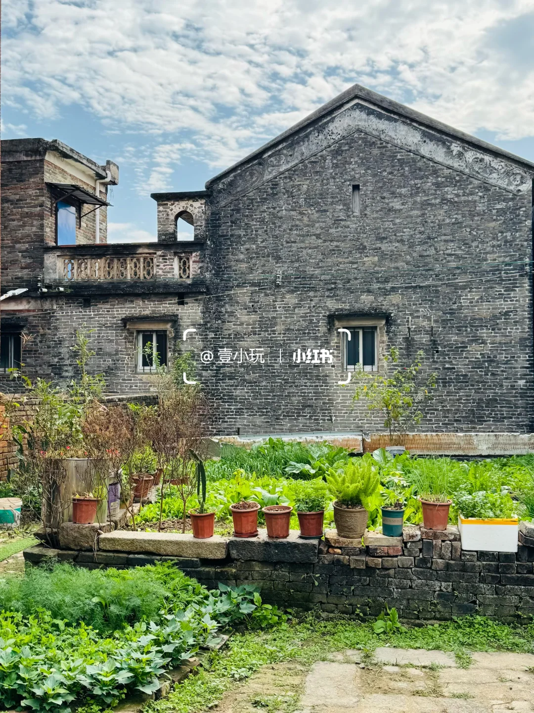 迄今为止❗️我最爱的佛山百年水上古村出现了