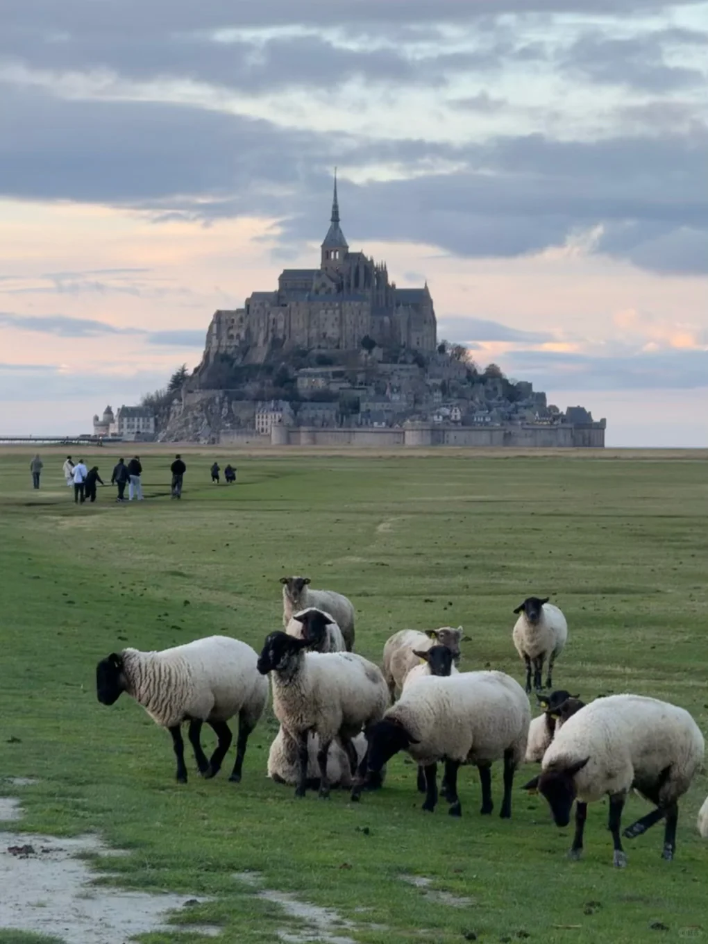 总有一天你会一个人来到这里