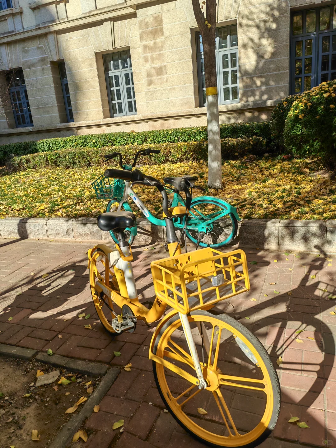 今天的天津有亿点好看