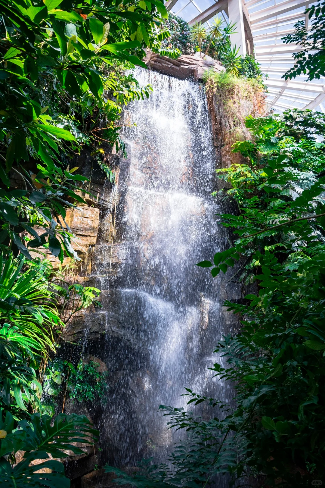 植物爱好者的天堂,昆明必玩景点扶荔宫攻略