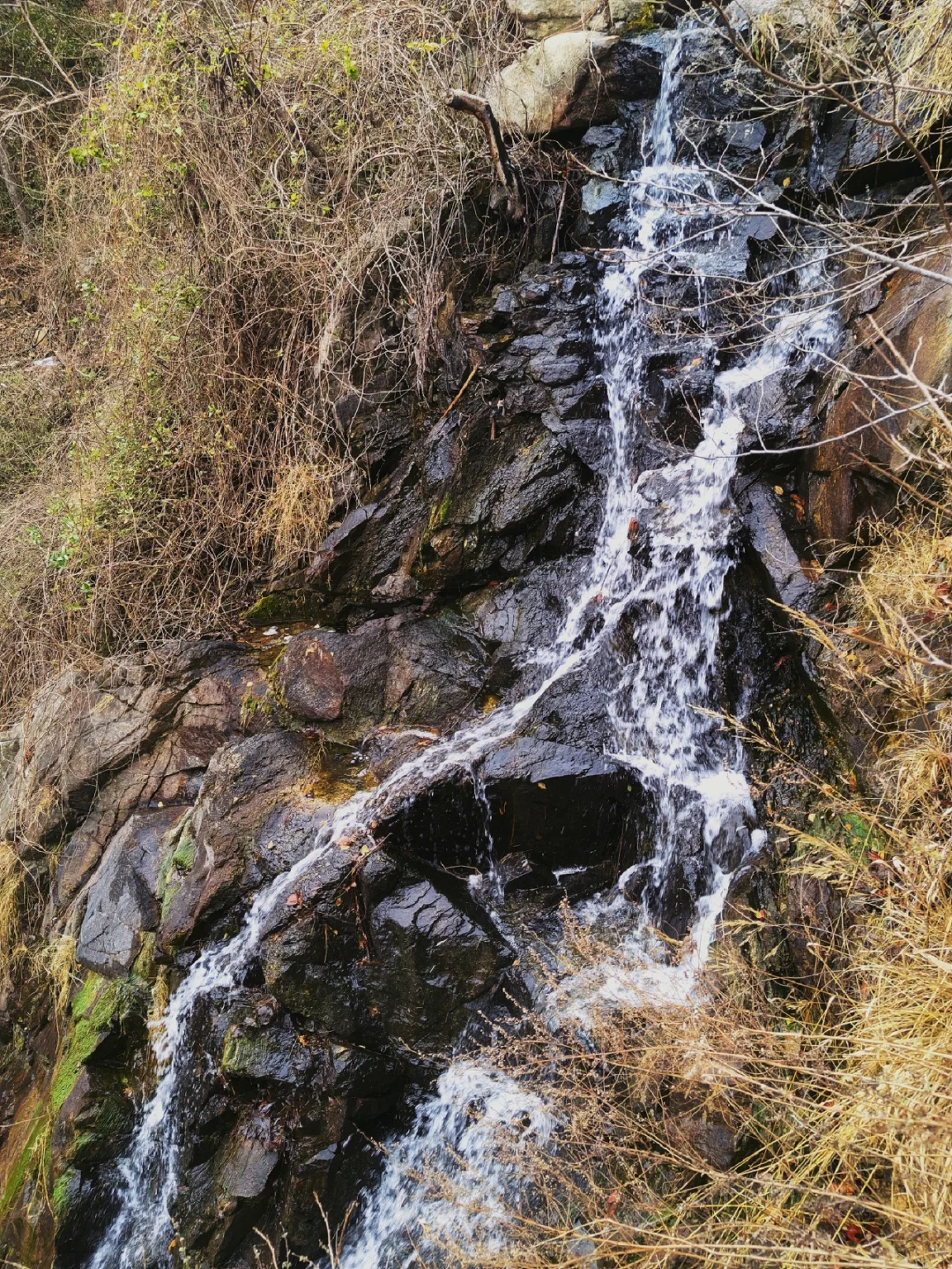 济南大学生必冲！人均几十元玩转九如山冬日