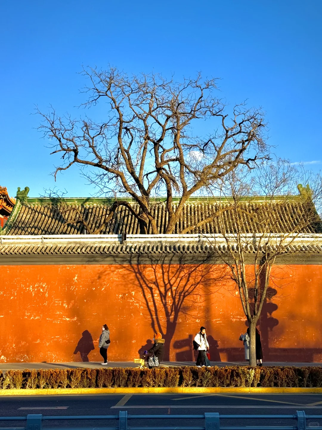 该怎么向你形容北京的冬天呢❄️