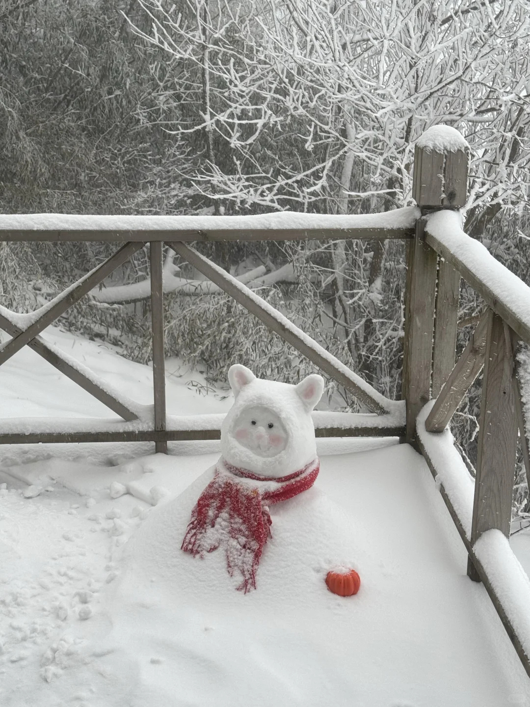 ❄️江浙沪冬季遛娃清单！四大目的地直接抄作