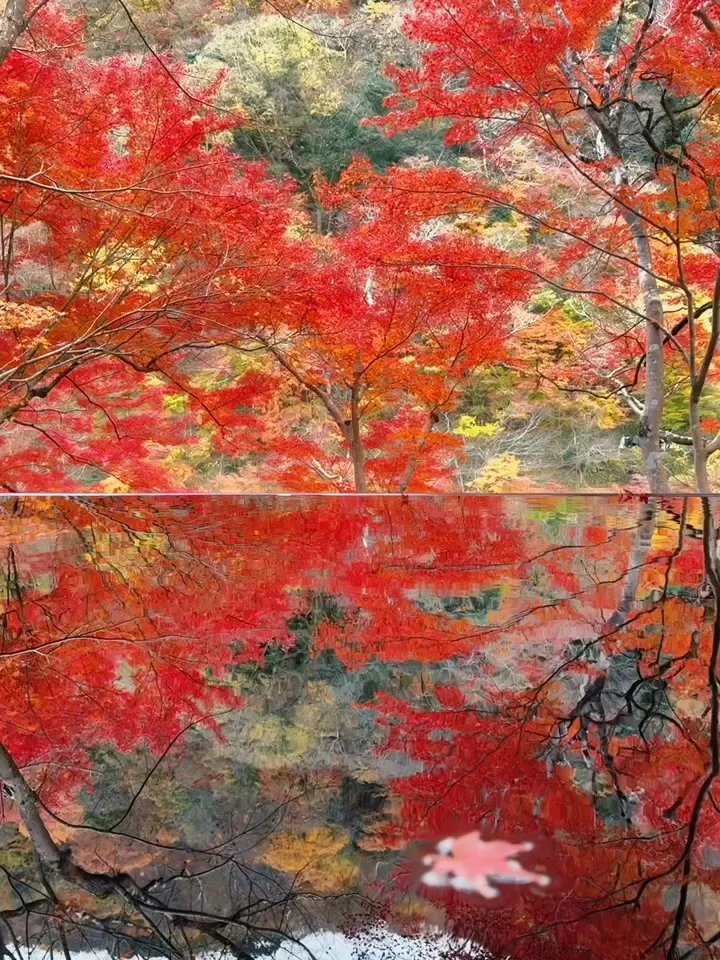 用实况打开红叶季🍁京都真的没有对手🍂