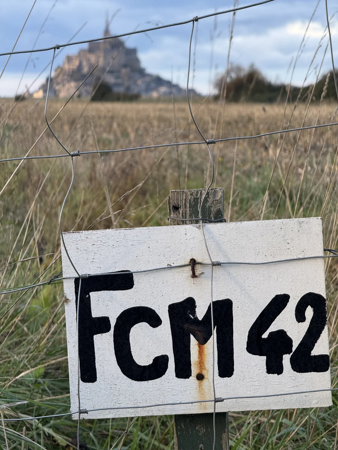 总有一天你会一个人来到这里