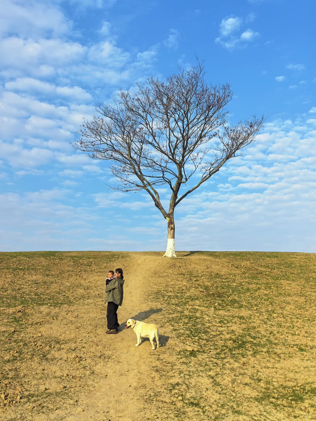 杭州开车1.5h的景区|太适合遛娃遛狗啦
