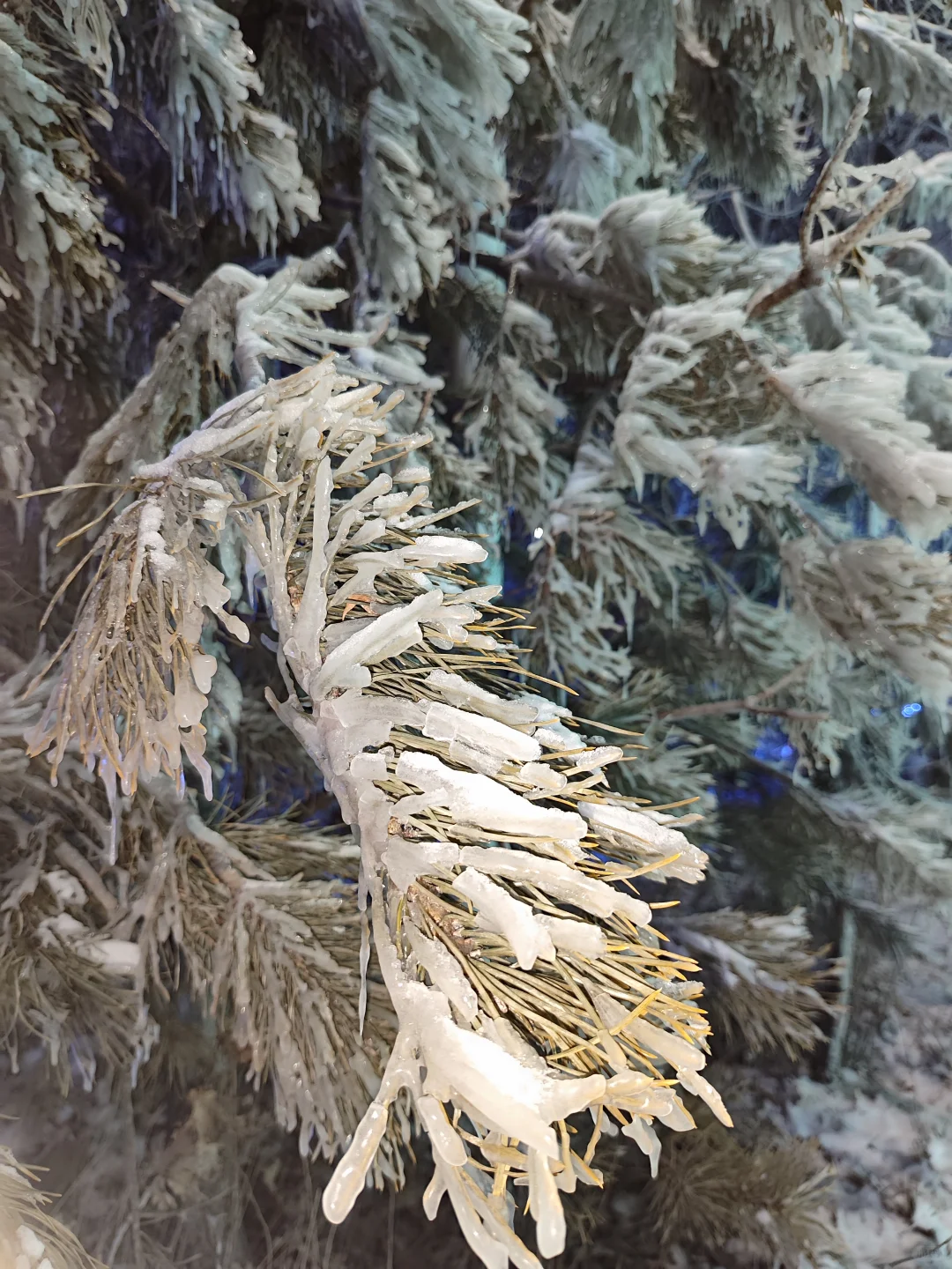 我看谁敢避雷冰雪新天地!