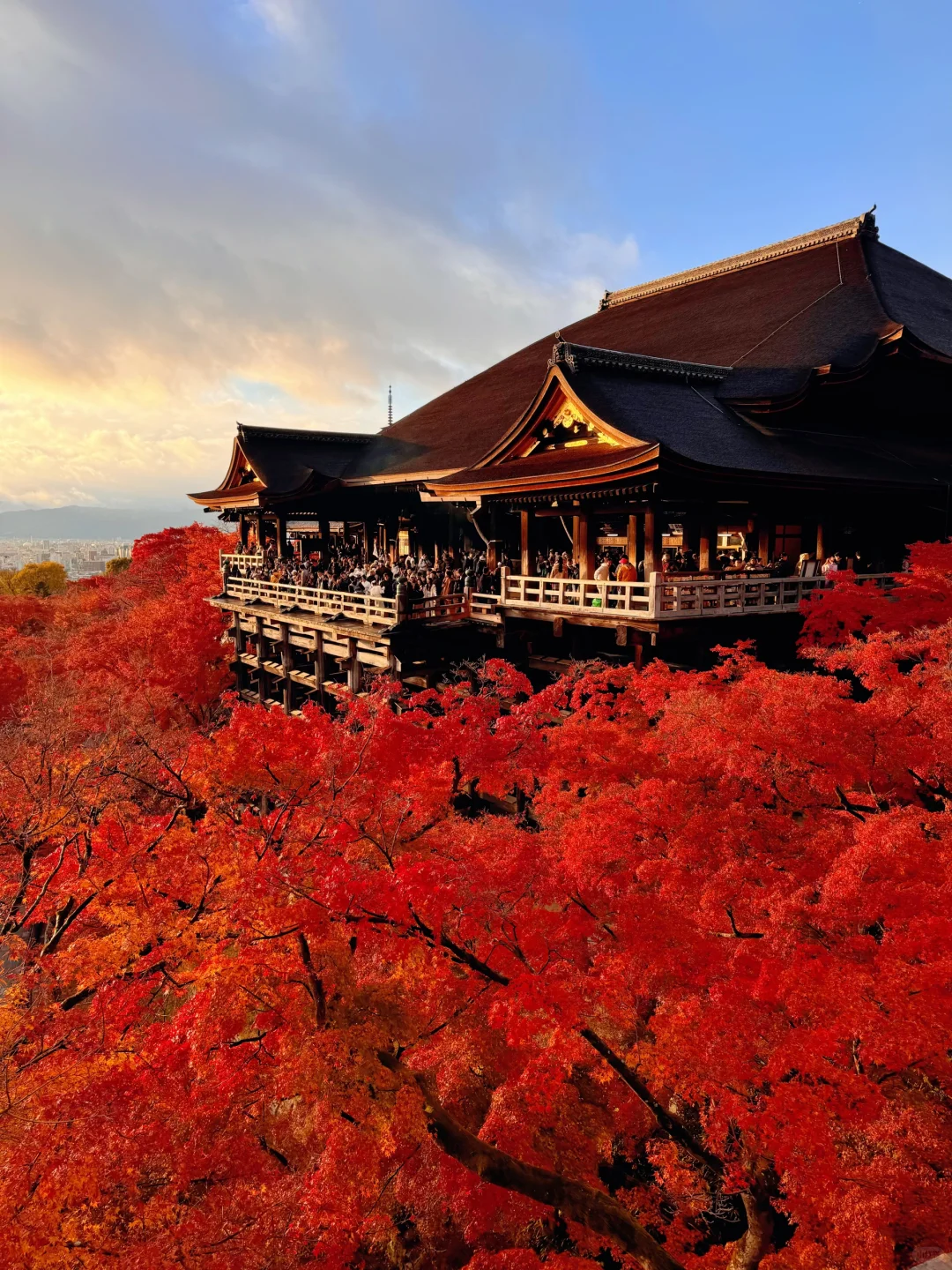 用实况打开红叶季🍁京都真的没有对手🍂
