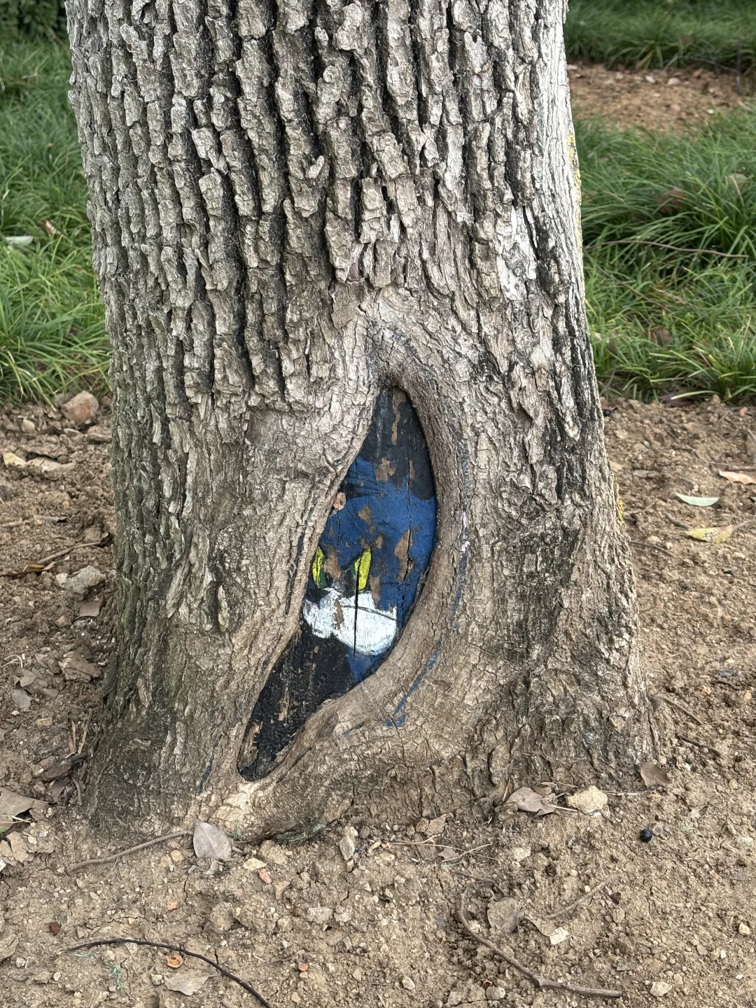 武汉大学生没课去哪玩