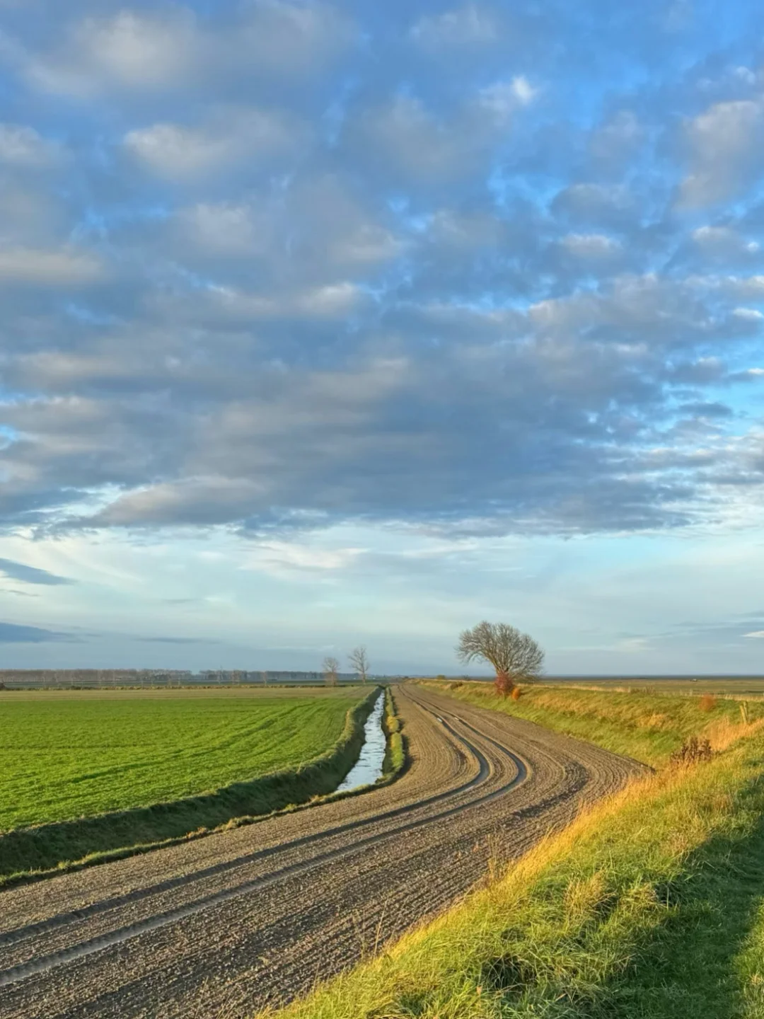 总有一天你会一个人来到这里