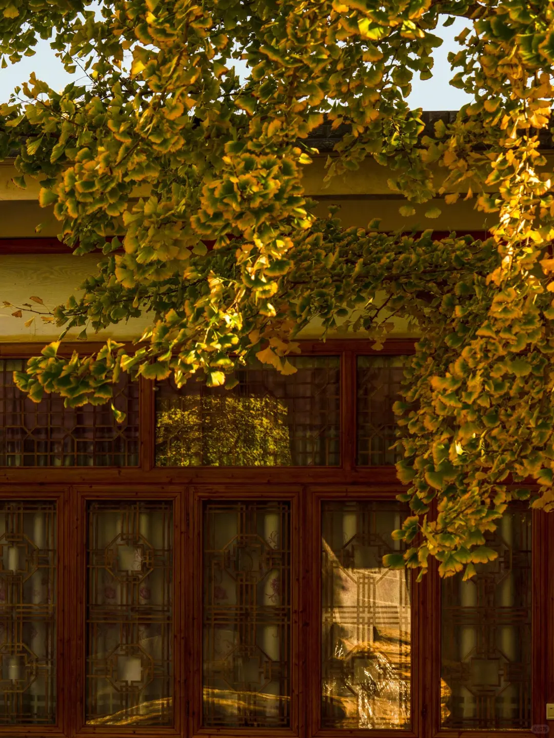 不得不说❗云南纯玩旅行🔥真正的品质游✅