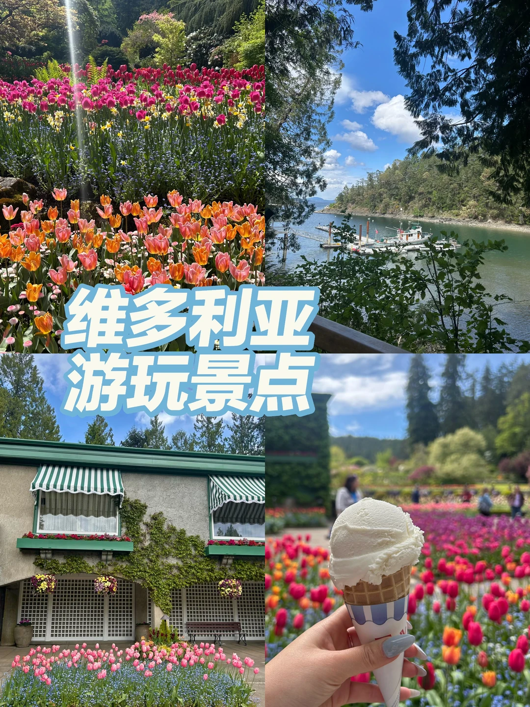 维多利亚🇨🇦🍂必去景点+周边游