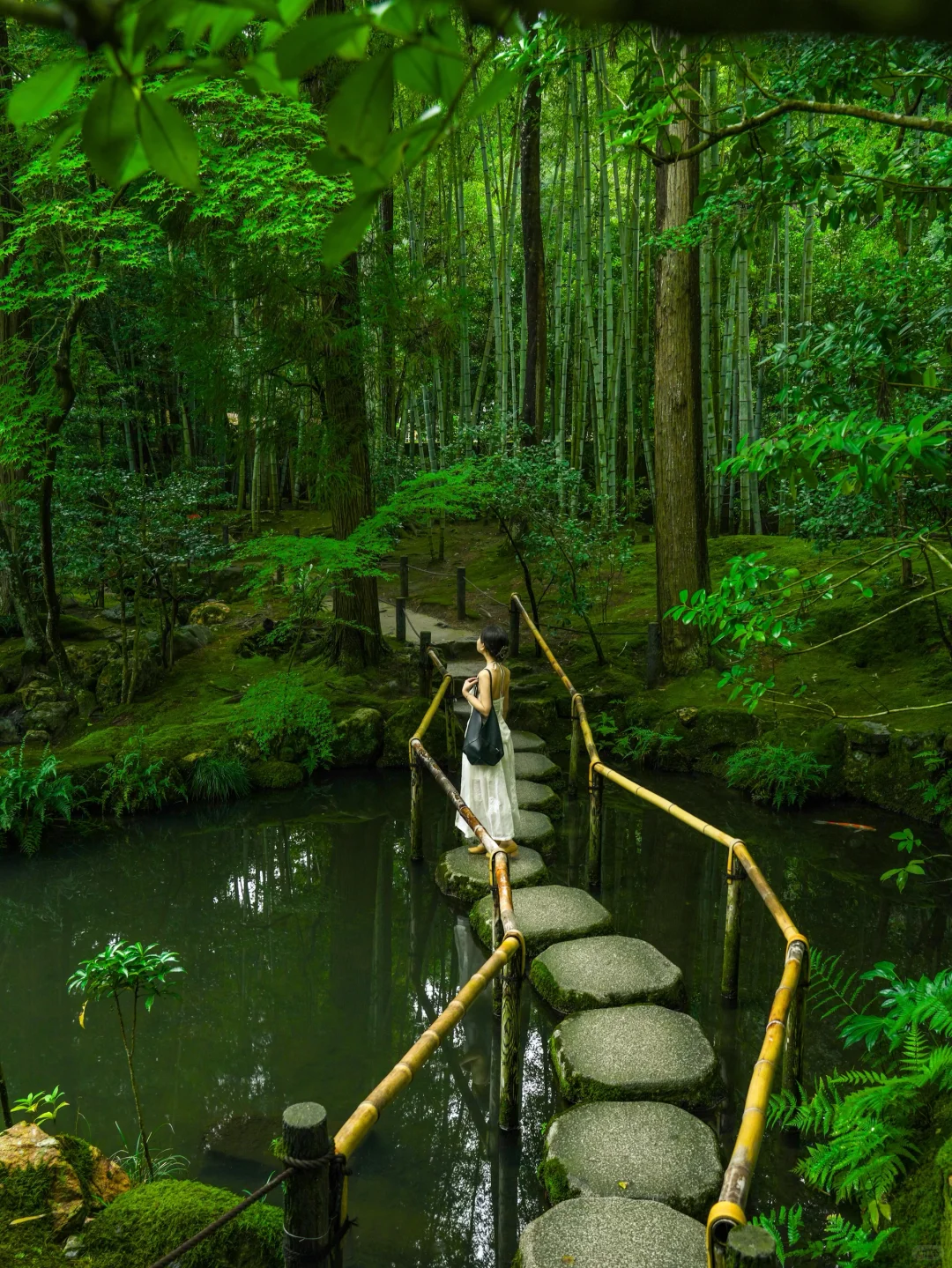 发朋友圈被问疯了！大阪京都拍的人生照片！